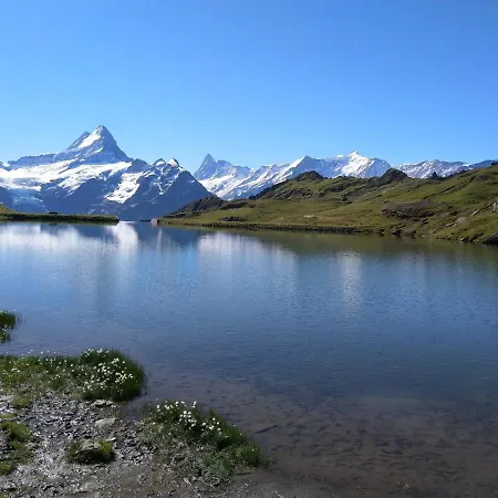 Swiss 