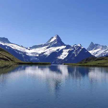 Swiss 
