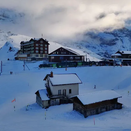 Apartman Swiss 