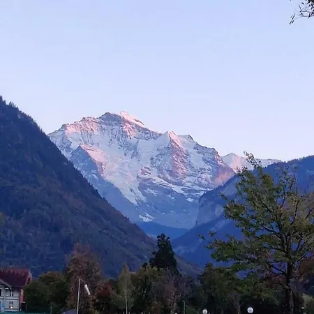 Apartman Swiss 